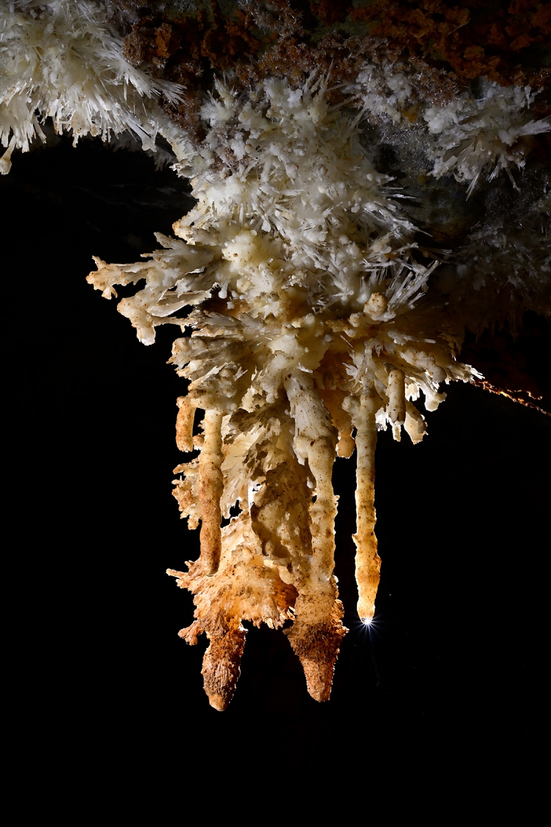 Gruta do Tamboril (Minas Gerais, Brésil) -  Bouquet d'aragonite aux extrémités jaunes au plafond